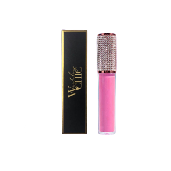 Pretty PRAISE- Moisturizer Lip Gloss