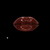 Loyalty- QueenEdition Moisturizer Lip Gloss