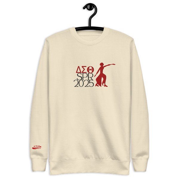 𝚫𝚺𝚯 Spring 2025 -Embroidered Sweatshirt