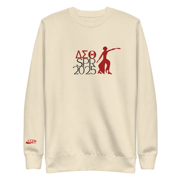 𝚫𝚺𝚯 Spring 2025 -Embroidered Sweatshirt