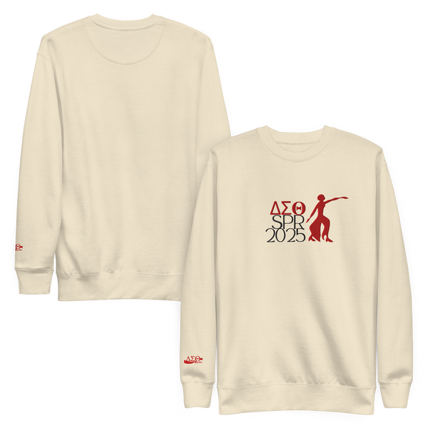𝚫𝚺𝚯 Spring 2025 -Embroidered Sweatshirt
